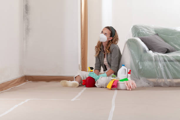 Reliable Mold Remediation contractor in Church Hill, TN by WQB Mold Removal